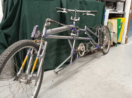 Custom lowrider bicycle