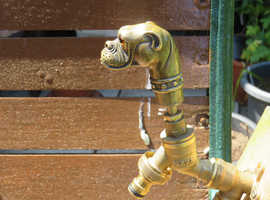 Ornamental outside tap bronze Bulldog head as handle