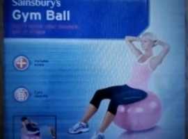 Sainsbury gym ball