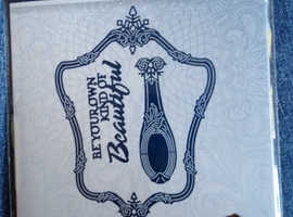 2 x Brand new Tattered Lace dies