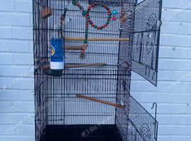 Cage cocktail/ parrot