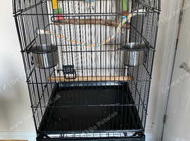 Bird cage