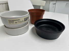 Plant pots.