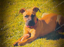 narla