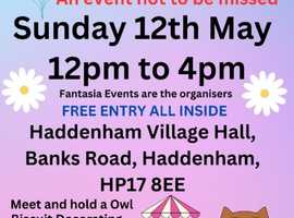 Haddenham Family Fun Day 12pm to 4pm