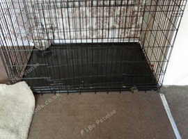 Large dog crate