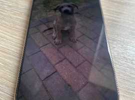 iPhone 16pro max