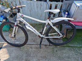 Mountain bikes