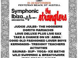 Pentunes festival 4 weekend tickets (19th and 20th September) with parking
