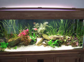 New Grey Finish Option Now Available for Juwel Aquariums – Your Aquarium