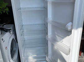 Tall fridge - polar white