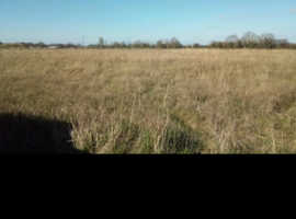WANTED HAYMAKING REQUIRED FOR 4 ACRE GRASSLAND