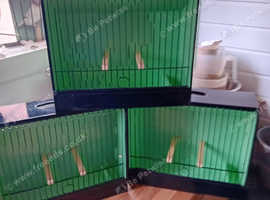Gloster show cages