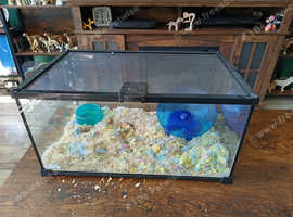 Snake/ Rodents Tank/Terrarium