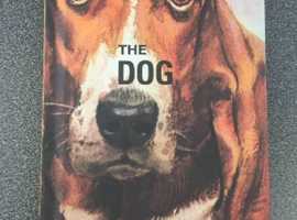 (448) The Dog Ladybird book, new!