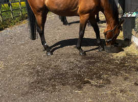 For loan on present yard