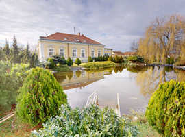 Castle for sale