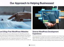 Custom Software Development Company | FuturByte