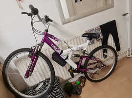 Used dudley hot sale mountain bikes