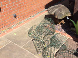 Second Hand Plants For Sale In Barnsley Buy Used Garden Freeads - wall half circle hanging baskets