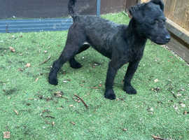 Patterdale