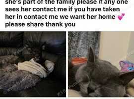 Missing