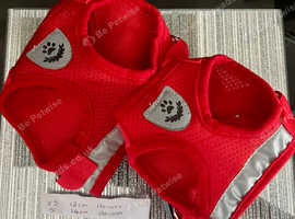 Dog Harness and lead set