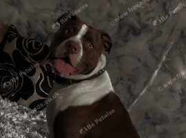 Narla