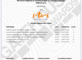 Qualified Level 5 TEFL Tutor