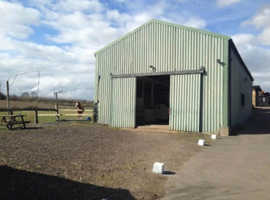 Livery available Canterbury