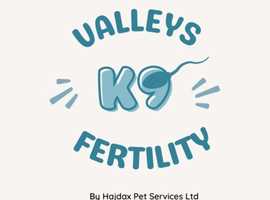 Dog Fertility Clinic in Merthyr Tydfil