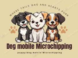 Dog Mobile Microchipping
