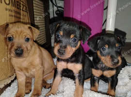 MinPins in Swanley