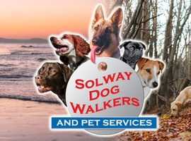 Solway Dog Walkers and pet Services
