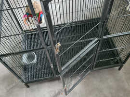 Large bird cage