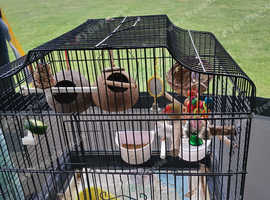 A pair finches and cage and stand
