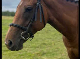 Trixie