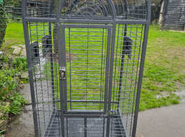 Rainforest Ecuador Cage