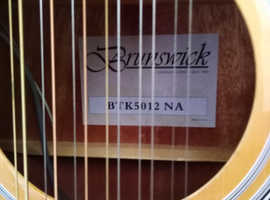 12 string electro acoustic.