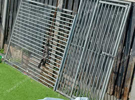Galvanised dog runs