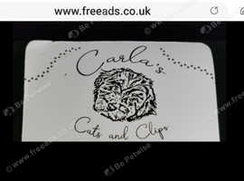 Carla's cuts and clips
