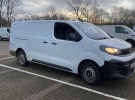 Man with a van