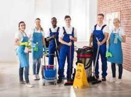 Professional Cleaner