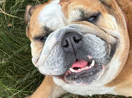 Loving forever home