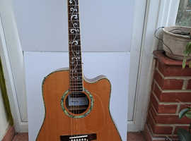 Indie electroacoustic guitar
