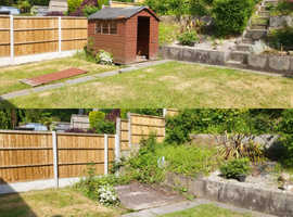 Garden shed removal service