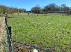 Field and stable to rent
