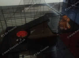 Hamster cages hotsell in argos