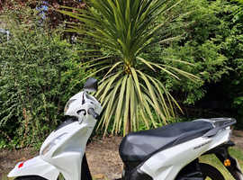 2023 Honda Scooter Vision 110 Automatic White