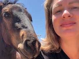 Help Me Heal Young Minds Through Equine Therapy